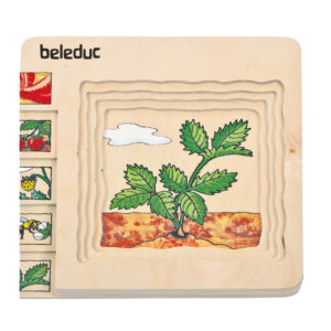 Lagenpuzzle ERDBEERE